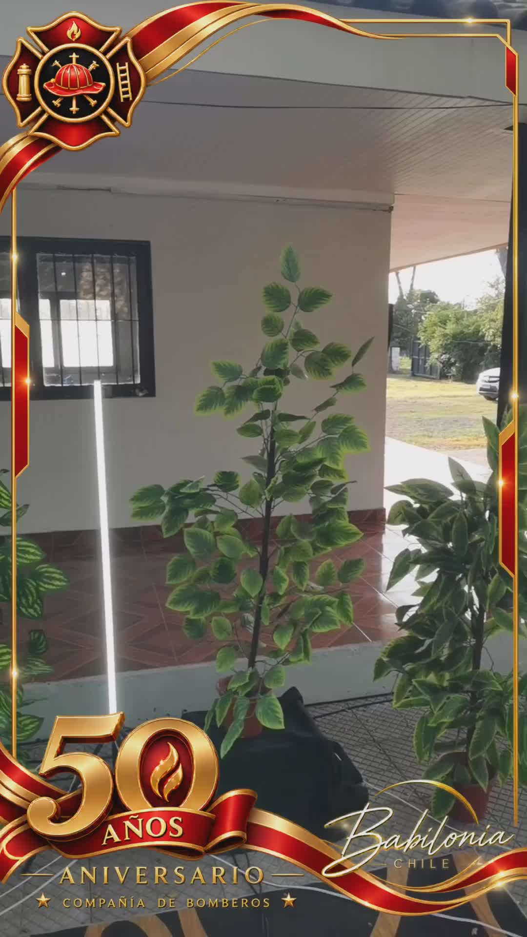 Miniatura del evento Bomberos