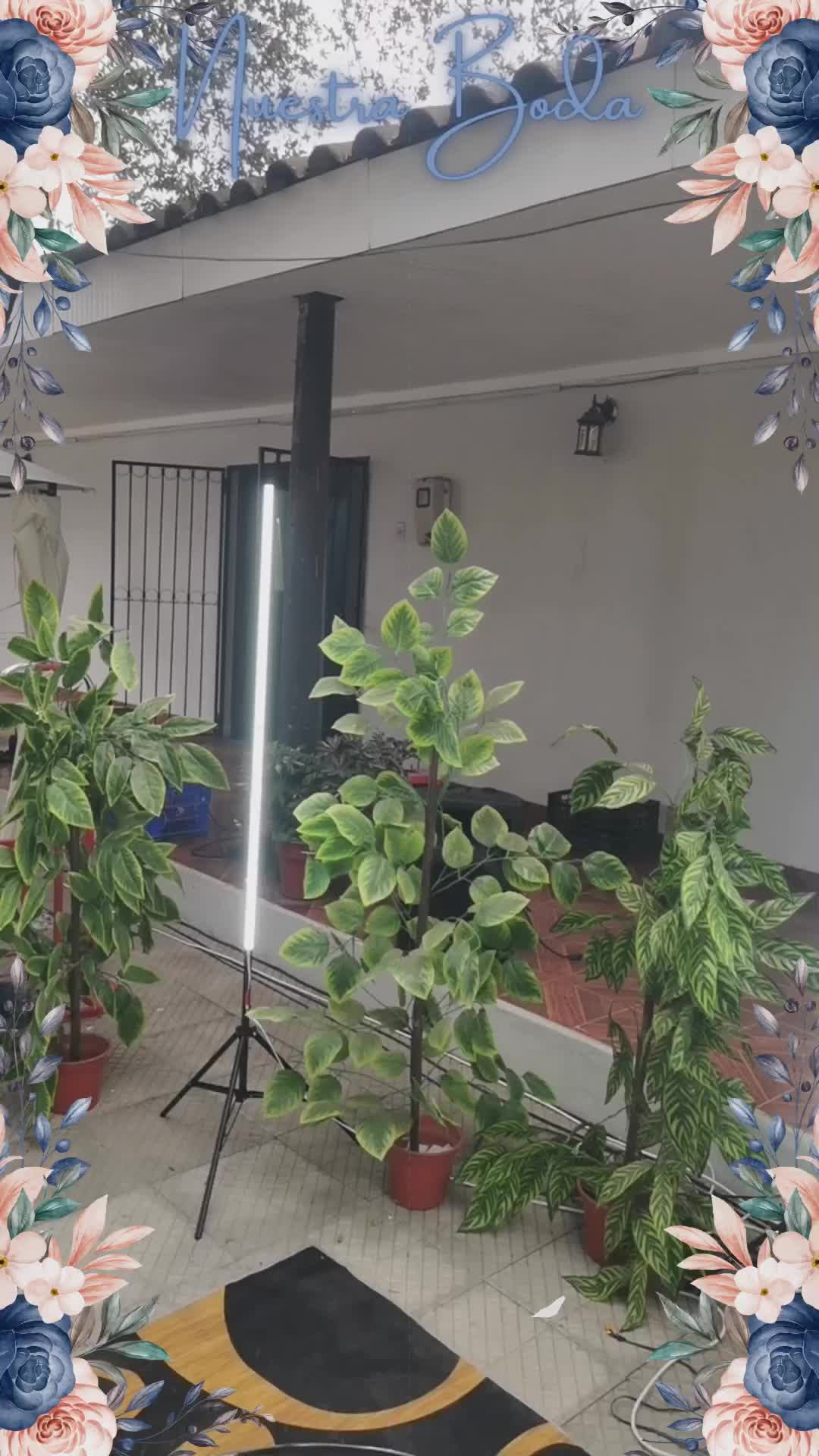 Video 360 del evento MATRIMONO