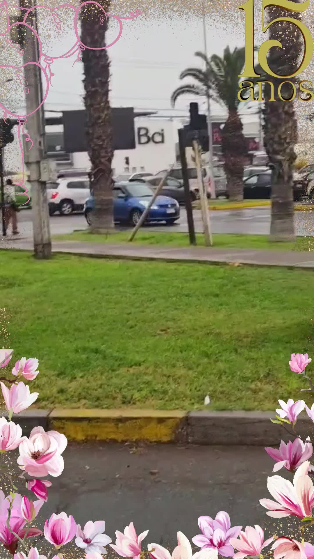 Miniatura del evento DEMO100